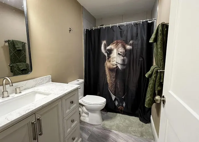Camel Oasis * * Sleeps 8 * * Near Old Salem * Winston-Salem